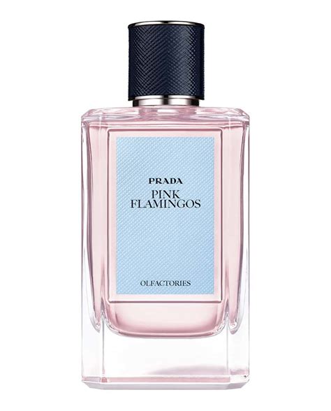 prada pink flamingos|Prada Olfactories Pink Flamingos EDP100ml .